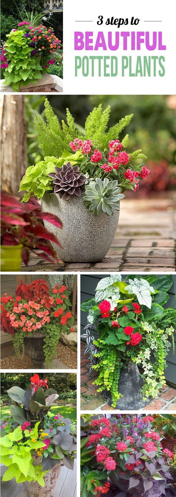 garden-flower-arrangements-ideas-97_10 Идеи за градински цветя
