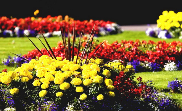 garden-flower-arrangements-ideas-97_12 Идеи за градински цветя