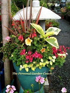 garden-flower-arrangements-ideas-97_17 Идеи за градински цветя