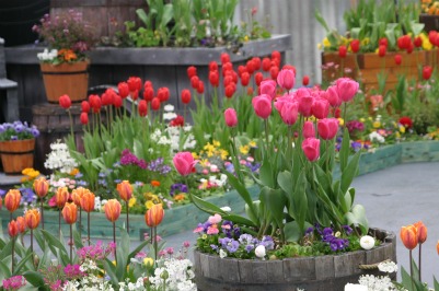 garden-flower-bed-design-ideas-54_7 Идеи за дизайн на градински цветни лехи