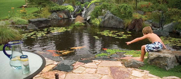 garden-pond-accessories-94 Аксесоари за градинско езерце