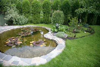 garden-pond-builders-12_9 Градинско езерце строители