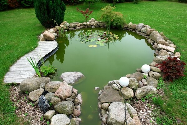 garden-pond-care-67_6 Градина езерце грижи