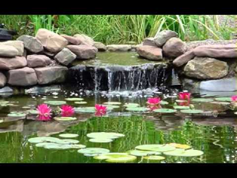 garden-pond-decorations-95_5 Градински декорации езерце
