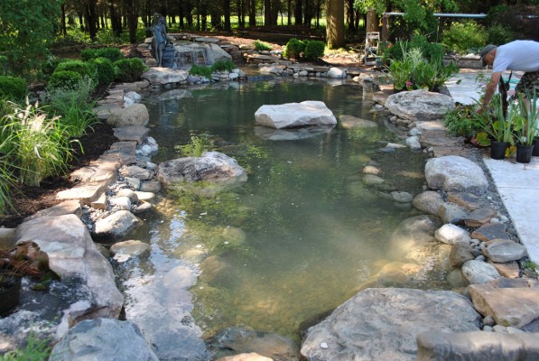 garden-pond-design-and-construction-64_14 Проектиране и изграждане на градинско езерце