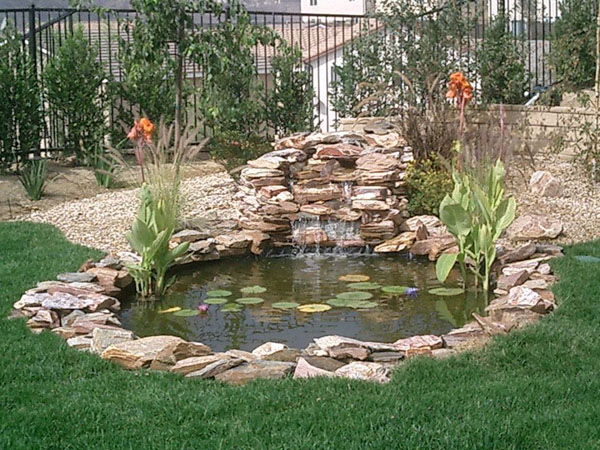 garden-pond-design-and-construction-64_5 Проектиране и изграждане на градинско езерце
