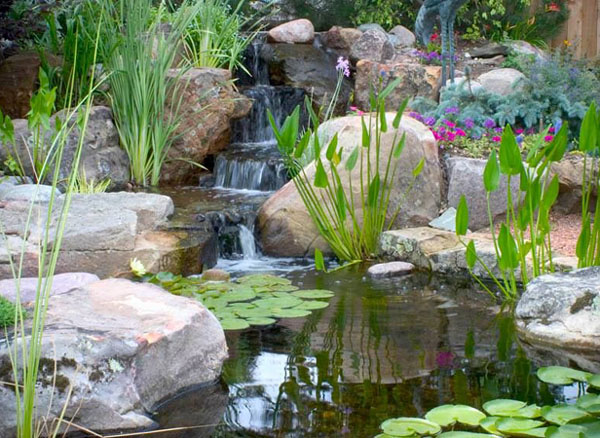 garden-pond-design-and-construction-64_9 Проектиране и изграждане на градинско езерце