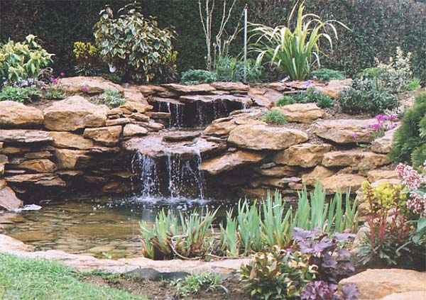 garden-pond-features-47_17 Характеристики на градинското езерце
