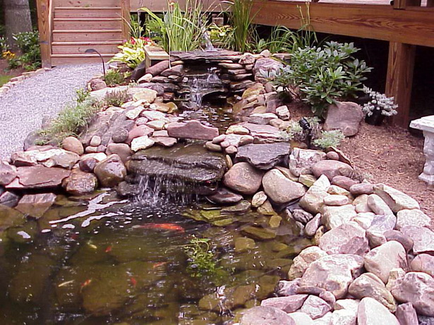 garden-pond-features-47_8 Характеристики на градинското езерце
