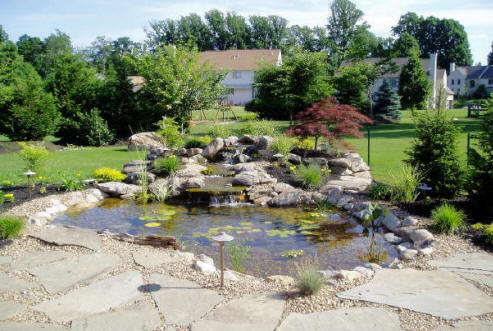 garden-pond-features-47_9 Характеристики на градинското езерце