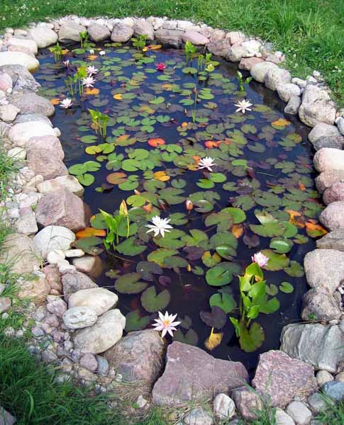 garden-pond-fountain-ideas-65_10 Градинско езерце фонтан идеи