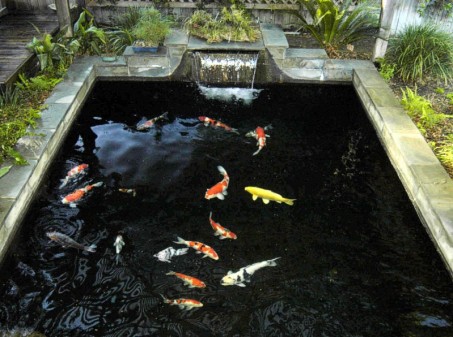 garden-pond-fountain-ideas-65_8 Градинско езерце фонтан идеи