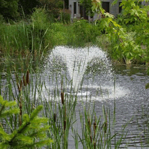 garden-pond-fountains-59 Градински фонтани езерце