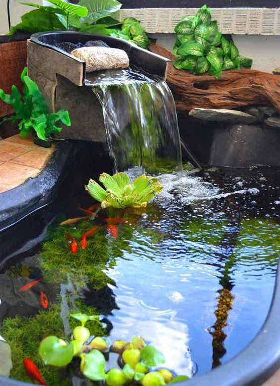 garden-pond-ideas-for-small-gardens-36_5 Градински езерце идеи за малки градини