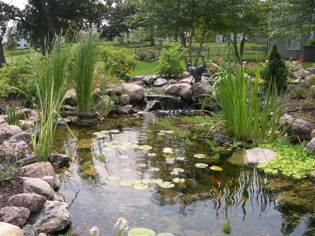 garden-pond-maintenance-94_15 Поддръжка на градинско езерце
