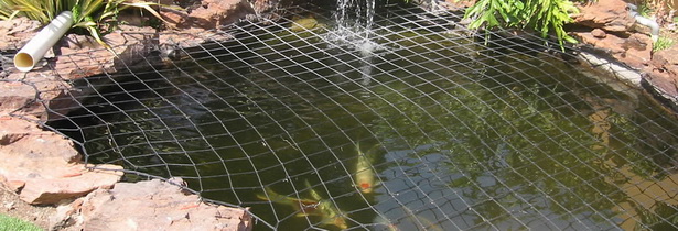 garden-pond-netting-17 Градина езерце мрежа