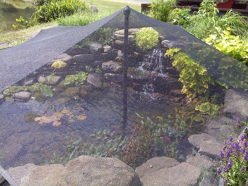 garden-pond-netting-17_3 Градина езерце мрежа