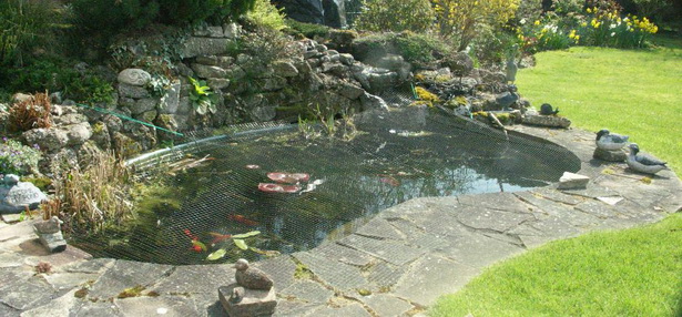 garden-pond-netting-17_4 Градина езерце мрежа