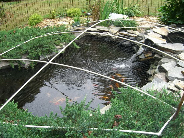 garden-pond-netting-17_5 Градина езерце мрежа