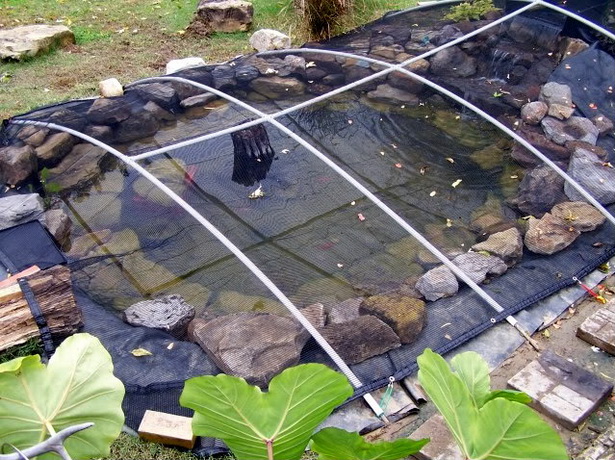 garden-pond-netting-17_6 Градина езерце мрежа