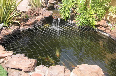 garden-pond-netting-17_9 Градина езерце мрежа
