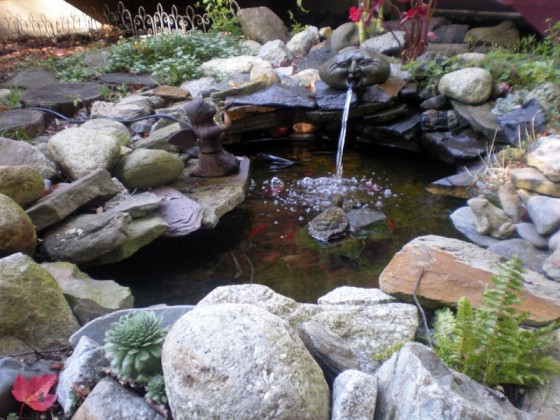 garden-pond-rocks-57 Градинско езерце скали