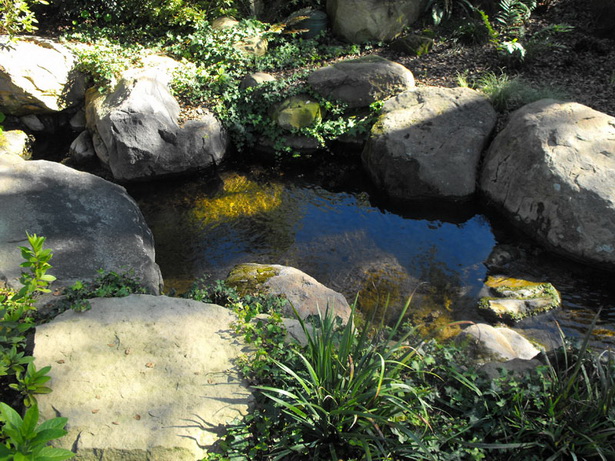 garden-pond-rocks-57_5 Градинско езерце скали