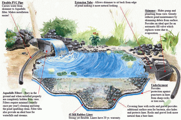 garden-pond-supplies-30 Градински езерце консумативи