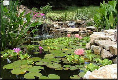 Градински езерце консумативи