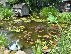 garden-pond-supplies-30_11 Градински езерце консумативи
