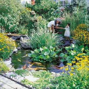 garden-pond-supplies-30_17 Градински езерце консумативи