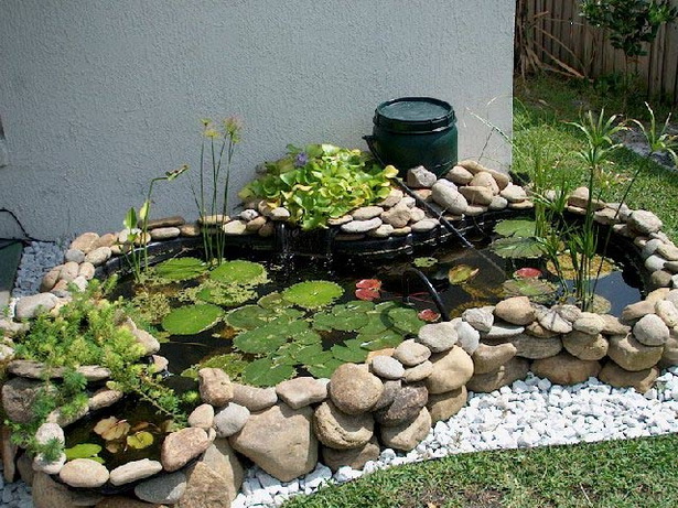 garden-pond-supplies-30_18 Градински езерце консумативи