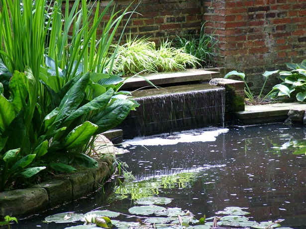 garden-pond-water-features-48_6 Характеристики на градинското езерце