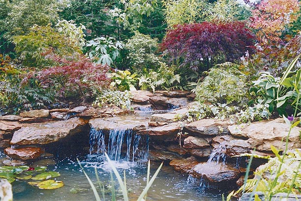 garden-pond-water-features-48_8 Характеристики на градинското езерце