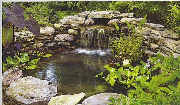 garden-water-72_16 Градинска вода