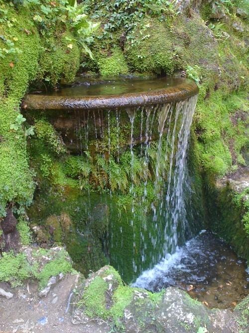garden-waterfall-features-96_6 Градина водопад функции