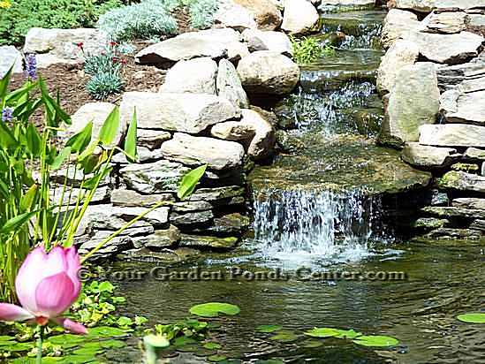 garden-waterfall-pond-59_8 Градина водопад езерце