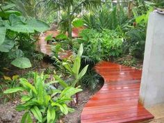 Градинарство в тропически климат