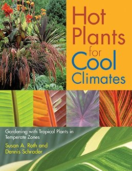 gardening-in-tropical-climates-89_10 Градинарство в тропически климат