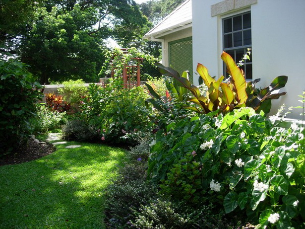 gardening-in-tropical-climates-89_15 Градинарство в тропически климат