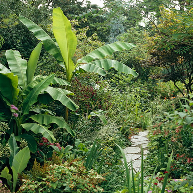 gardening-in-tropical-climates-89_3 Градинарство в тропически климат