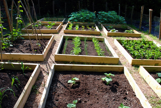 gardening-raised-beds-vegetable-35_10 Градинарство повдигнати легла зеленчук