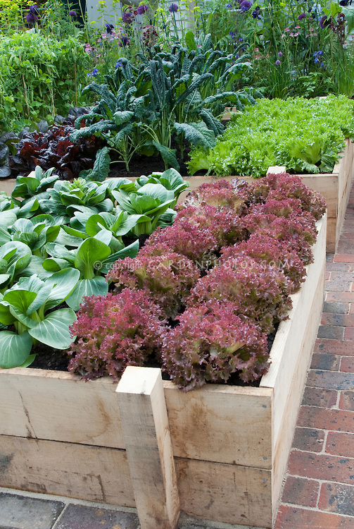 gardening-raised-beds-vegetable-35_16 Градинарство повдигнати легла зеленчук
