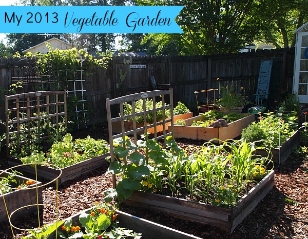gardening-raised-beds-vegetable-35_7 Градинарство повдигнати легла зеленчук