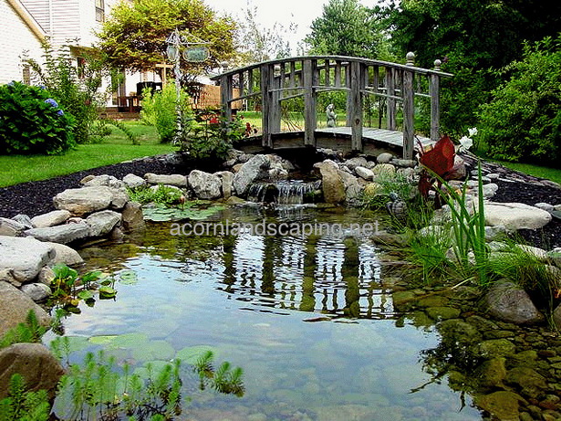 goldfish-pond-design-92_9 Дизайн на езерце за златни рибки