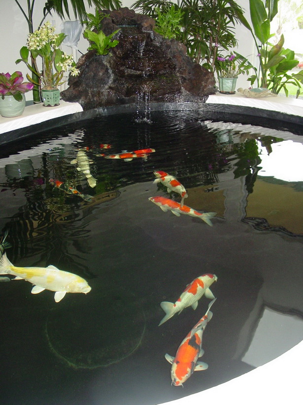 goldfish-pond-25_15 Езерце за златни рибки