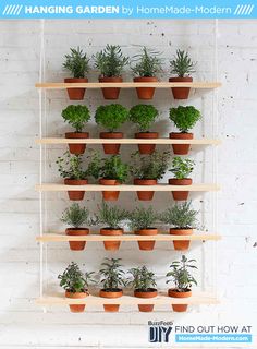 hanging-herb-garden-ideas-93 Висящи билки градински идеи