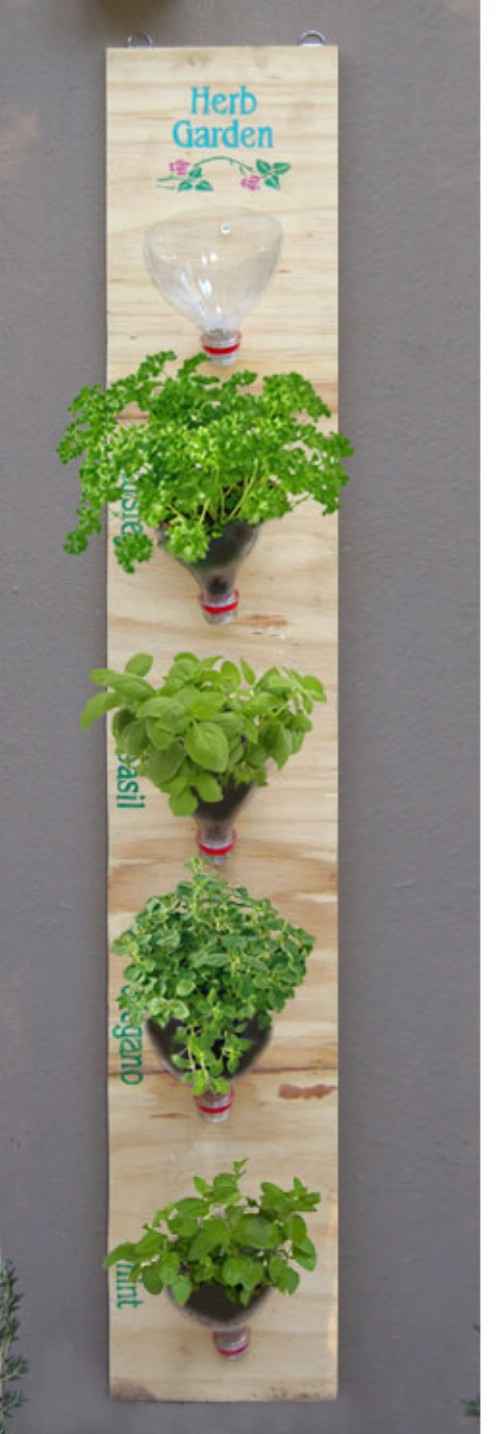 hanging-herb-garden-ideas-93_11 Висящи билки градински идеи