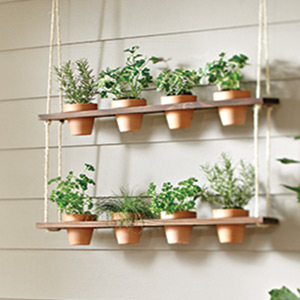 hanging-herb-garden-ideas-93_3 Висящи билки градински идеи