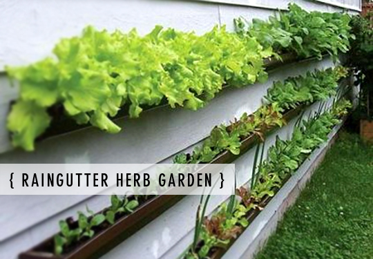 hanging-herb-garden-ideas-93_7 Висящи билки градински идеи